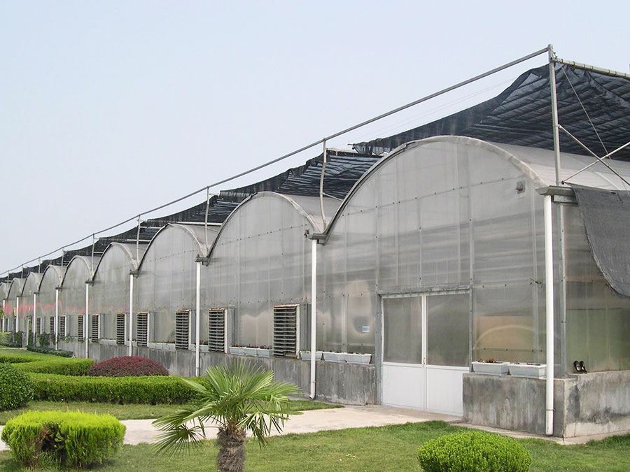 連棟薄膜溫室