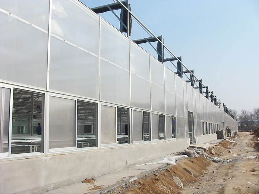 陽(yáng)光板溫室