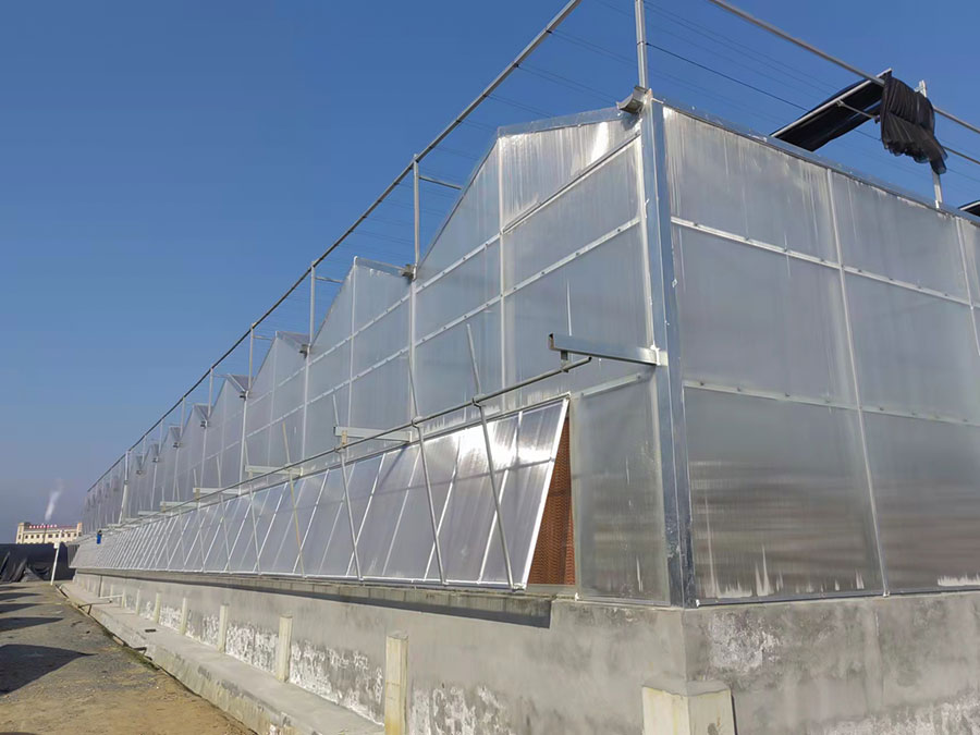 陽(yáng)光板溫室