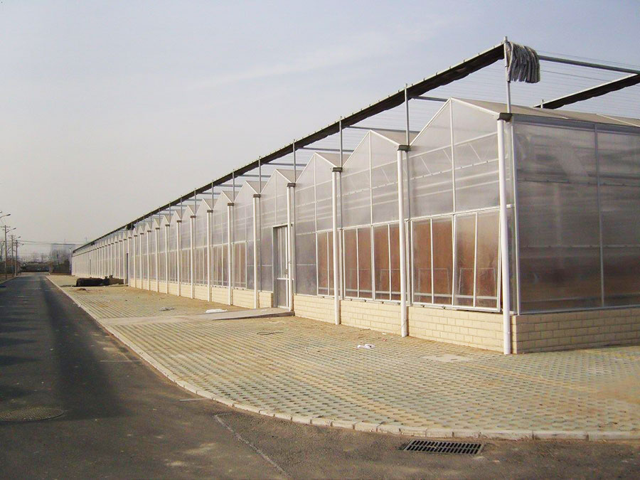 陽(yáng)光板溫室