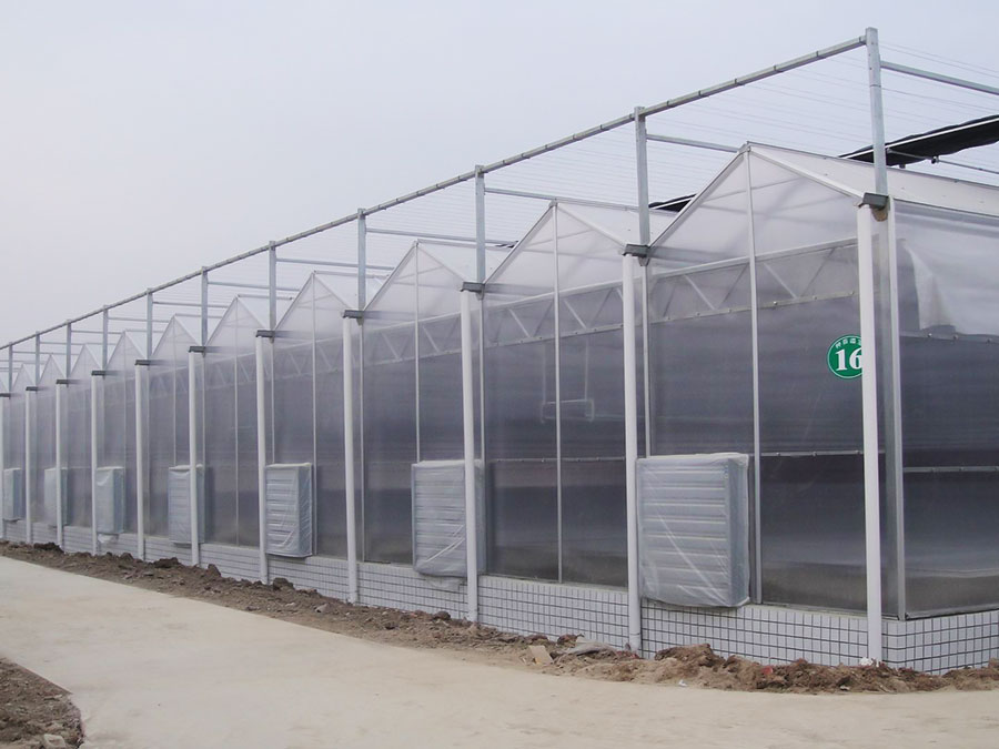 陽(yáng)光板溫室