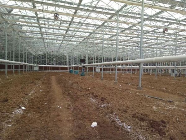 江西信州溫室案例